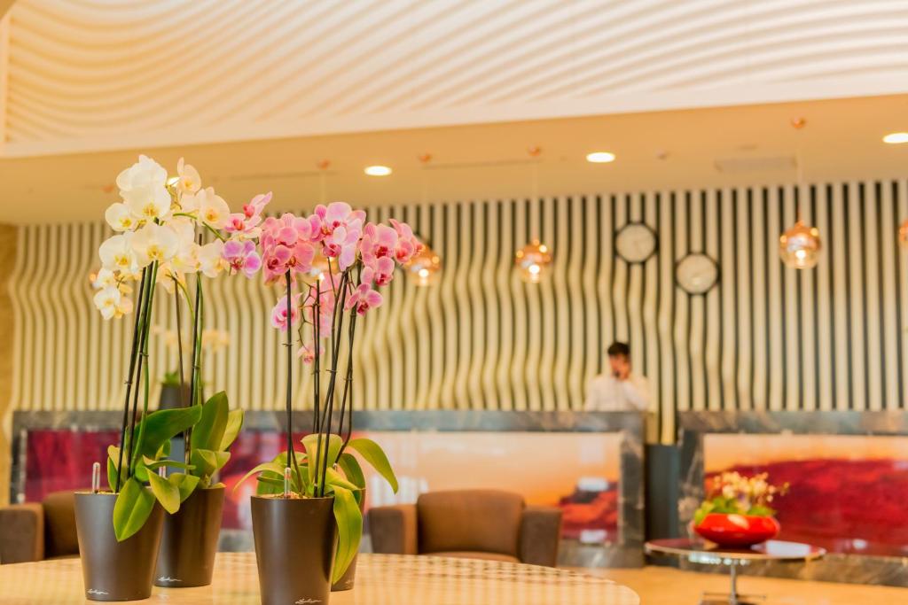 Qalaalti Hotel & Spa