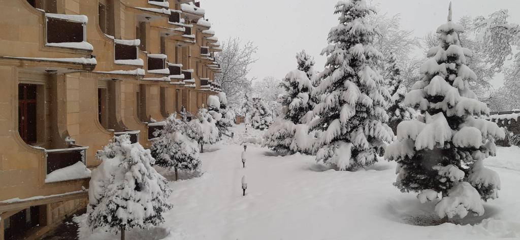 Gabala Yeddi Gozel Hotel